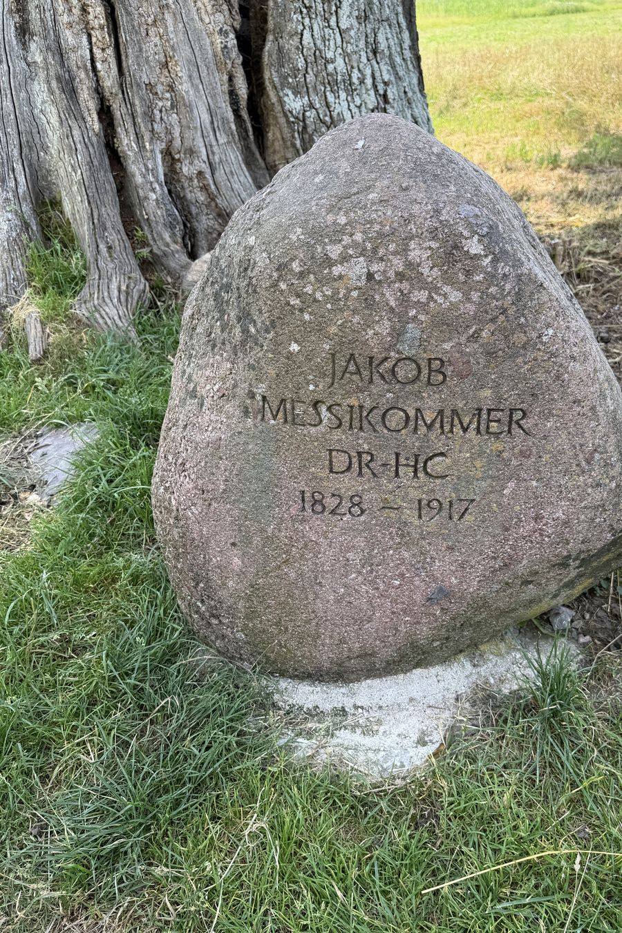 Gedenkstein f&uuml;r Jakob Messikommer im Robenhauser Riet